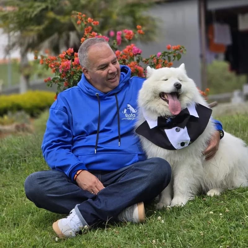 Rafadogs